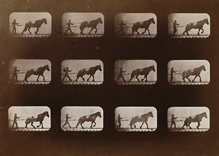  Eadweard Muybridge, Horse and Man from the series The Attitudes of Animals in Motion, 1878–1879, Albumen print