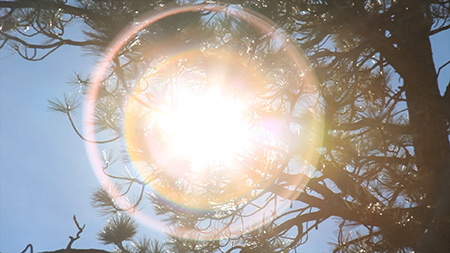 川内倫子《Illuminance》 2001-22年 シングルチャンネル・ヴィデオ　東京都写真美術館蔵