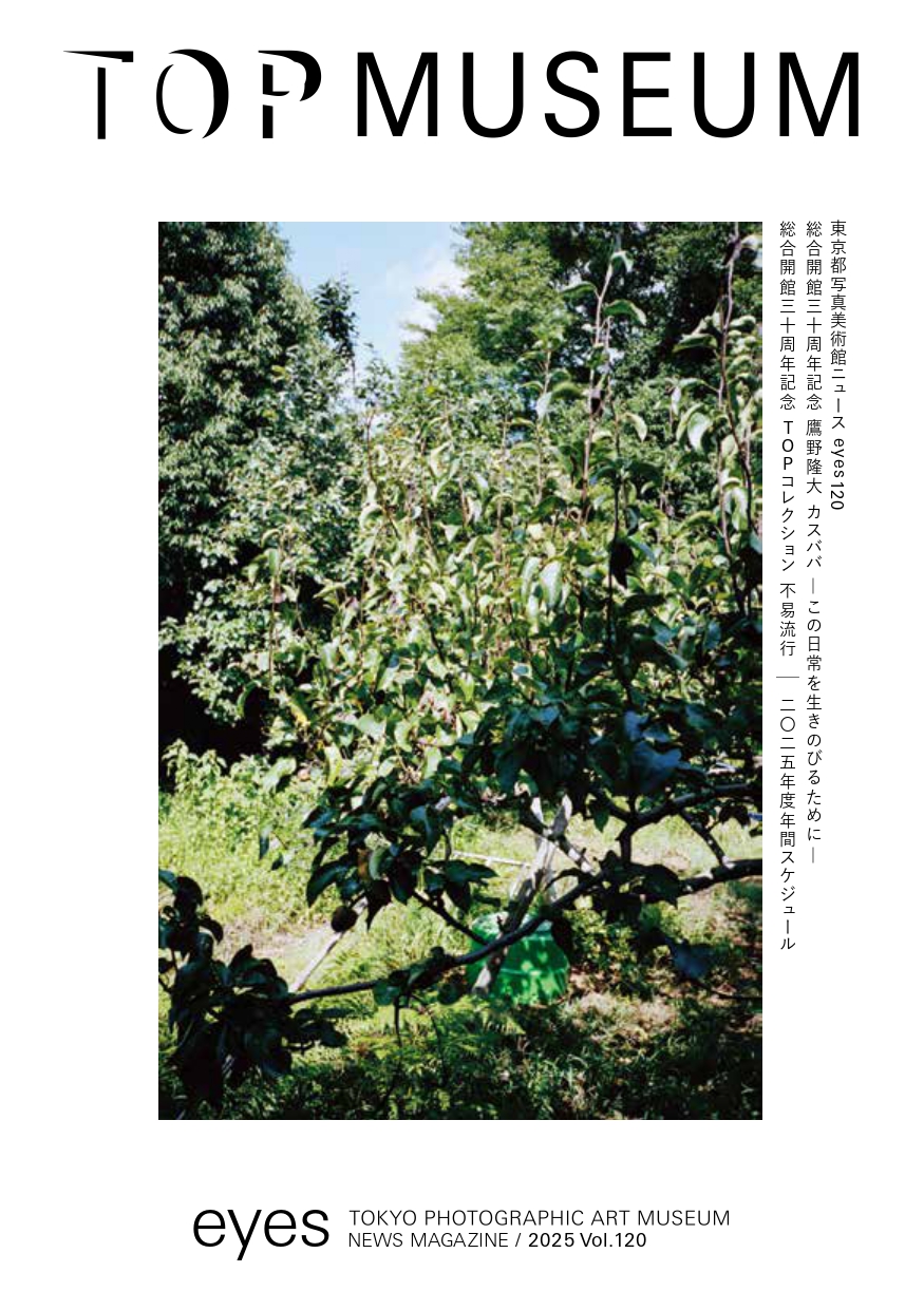 美術館ニュースアイズ120号表紙の画像