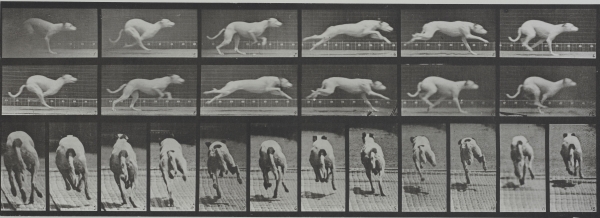 Eadweard Muybridge