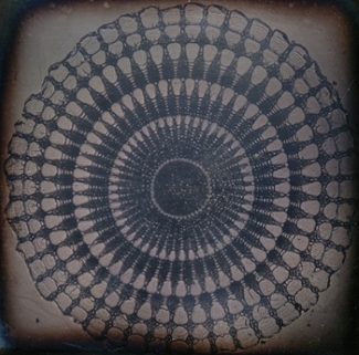 William Benjamin Carpenter, The Cross Section of a Spine of a Sea Urchin, 1848–1849, Daguerreotype